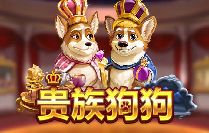 竞彩猫官方版